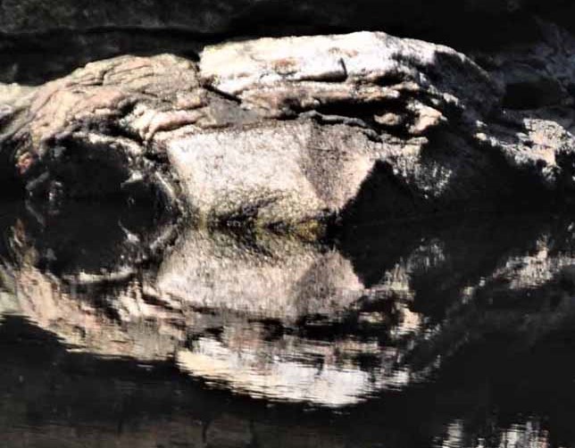 rock formation of turtle's head